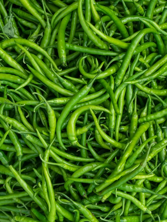 green_chilli_exporter_india