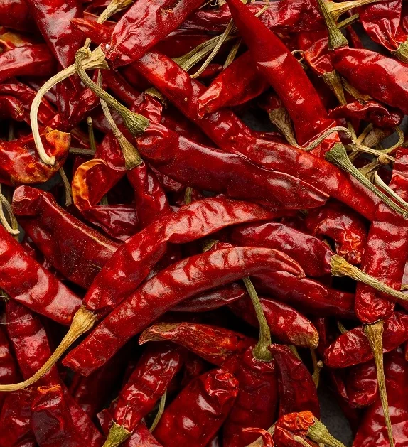 Red raw chillies are among the most sought-after agricultural commodities in the global spice market.