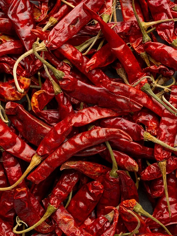 Red raw chillies are among the most sought-after agricultural commodities in the global spice market.