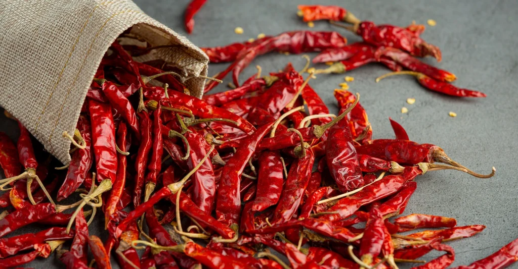 red_chilli_exporter_india
