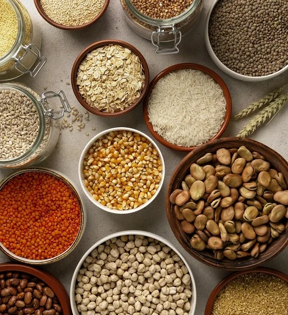 Indian millets are gaining worldwide recognition as nutritious and sustainable grains that support healthy living.